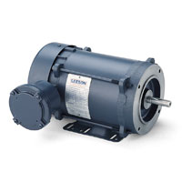 Leeson Explosion Proof Motor