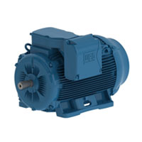 WEG Metric Motor