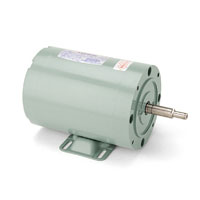 Leeson Milk Transfer Pump Motor