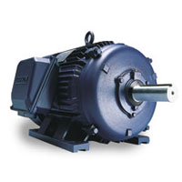 Leeson Industrial Motor