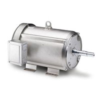 Leeson Premium Duck Stainless Motor