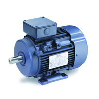 Leeson Metric Motor