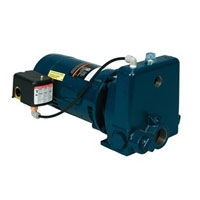 Franklin Convertible Jet Pump