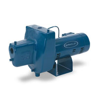 Berkley Iron Shallow Well Pump